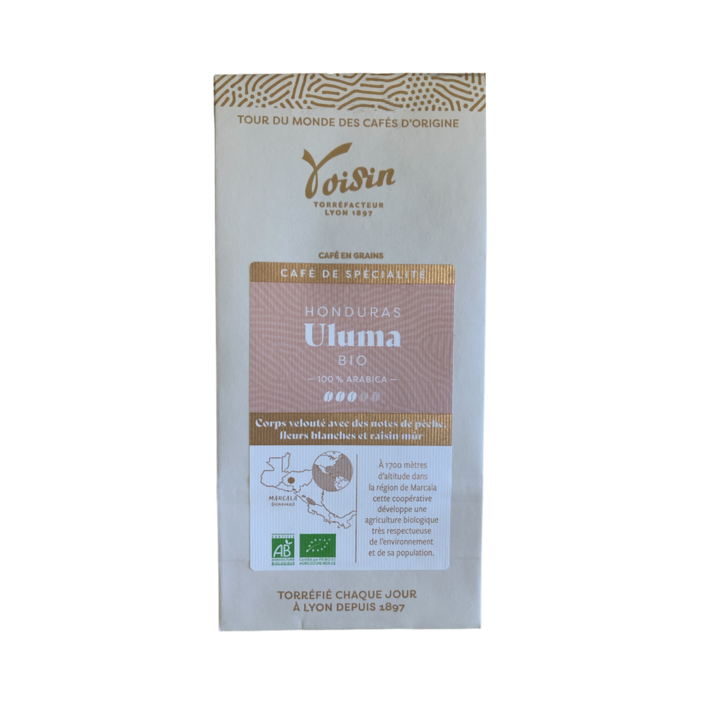Café BIO "Uluma" du Honduras