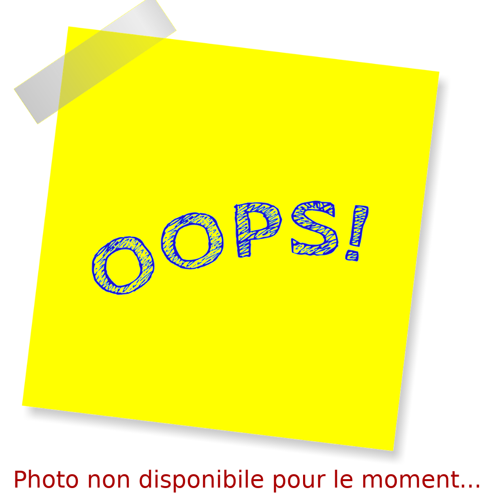 Moulage de Pâques Poisson n°3 chocolat au lait (garni) - Confiserie des Arcades