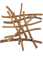 Fagot de 10 bâtons de réglisse à l'ancienne