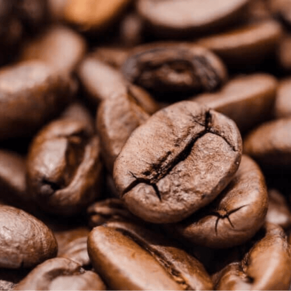 Café "San Marcos" BIO du Honduras