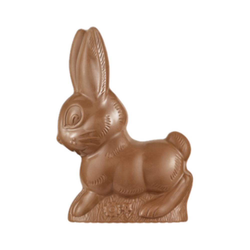 Moulage lapin lait non garni